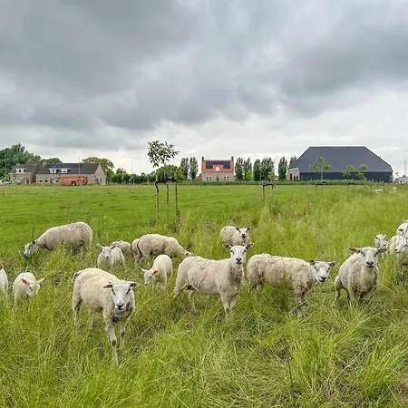 بيت للعطل Bosrand Zwaluwe